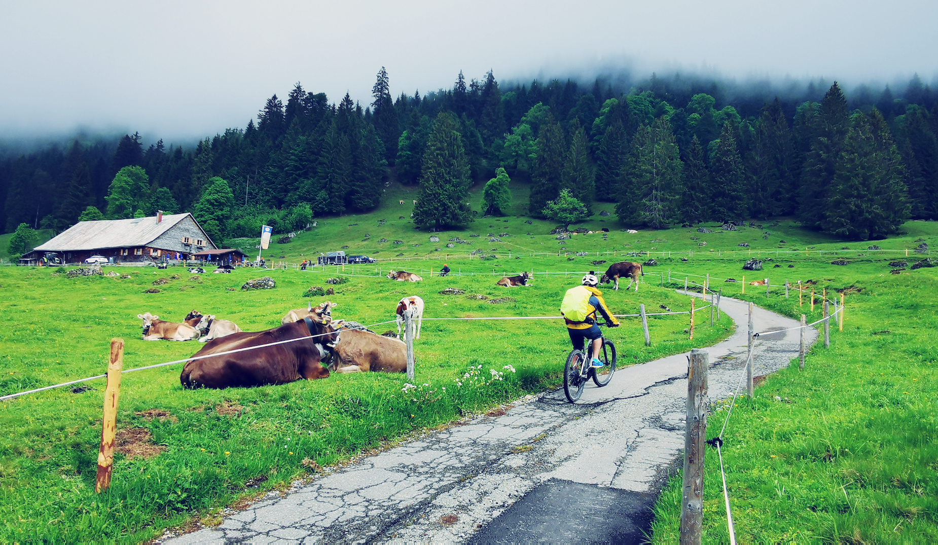 4-Day Alps E-Mountain Biking + Germany&Austria City tour